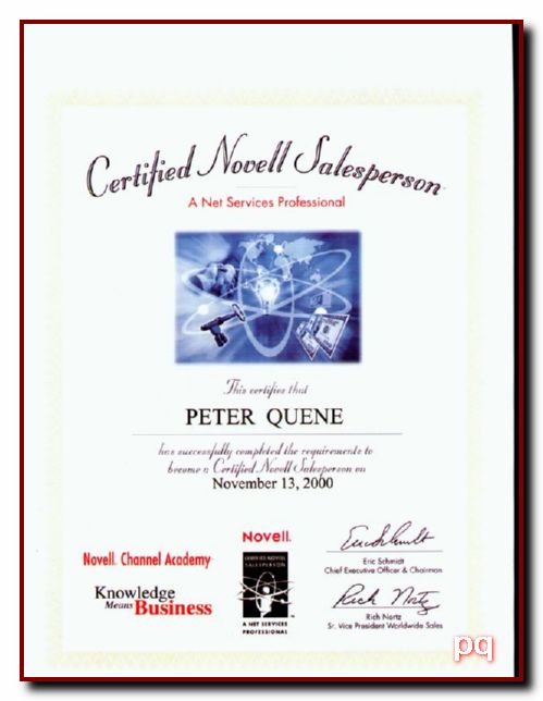 cns-Net Services Professional-2000